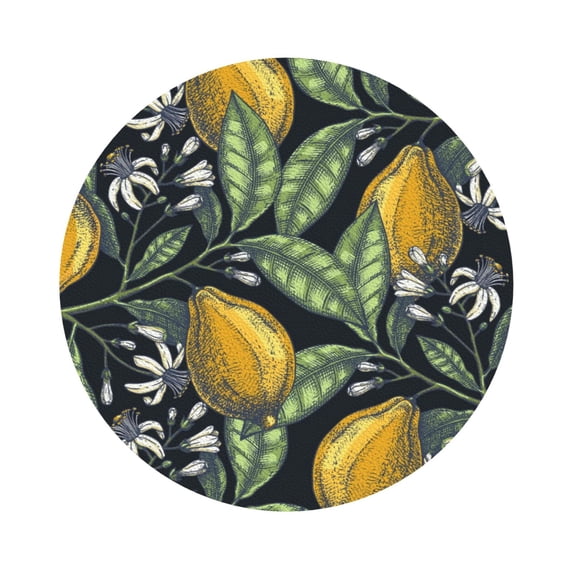 Disketp Citrus Fruits Elegant Lemons Funny Coasters,6 Pcs Leather Coasters With Holder, Perfect Housewarming Hostess Gifts,Protect Furniture From Water Marks Scratch And Damage