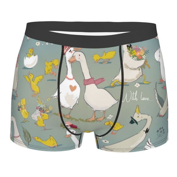 Disketp Cute Farm Birds Men'S Boxer Briefs,Soft And Breathable Cotton Underwear With Comfortflex Waistband