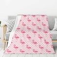 thumbnail image 1 of Disketp Cute Flamingo with Heart Cozy Flannel Fleece Throw Blanket: Has a velvety texture for All Seasons - Perfect for Women, Men, & Kids"50"x40", 1 of 6