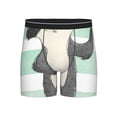 thumbnail image 1 of Disketp Cute Raccoon Men's Boxer Briefs Men’s Underwear Boxer Briefs for Men, 1 of 7