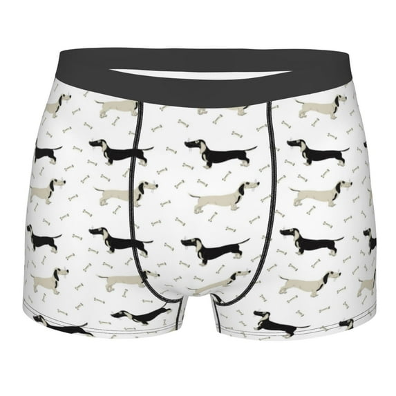 Disketp Dachshund Dog Men's Boxer Briefs,Soft and Breathable Cotton Underwear with ComfortFlex Waistband