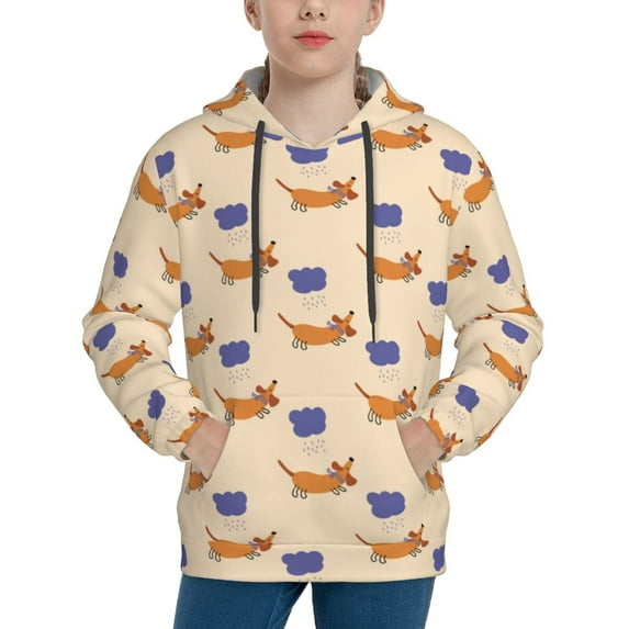 Disketp Dachshund Youth Hoodie Sweatshirt for Boys Girls Kids Pullover Hooded Classic Casual Essentials Hoodie-Large