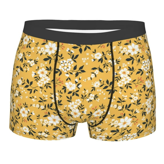 Disketp Daisies Flowers Men's Boxer Briefs,Soft and Breathable Cotton Underwear with ComfortFlex Waistband