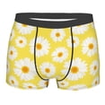thumbnail image 1 of Disketp Daisies Flowers Men's Boxer Briefs,Soft and Breathable Cotton Underwear with ComfortFlex Waistband, 1 of 7