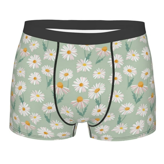 Disketp Daisies Flowers Men's Boxer Briefs,Soft and Breathable Cotton Underwear with ComfortFlex Waistband