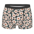 thumbnail image 1 of Disketp Daisies Flowers Men's Boxer Briefs,Soft and Breathable Cotton Underwear with ComfortFlex Waistband, 1 of 7