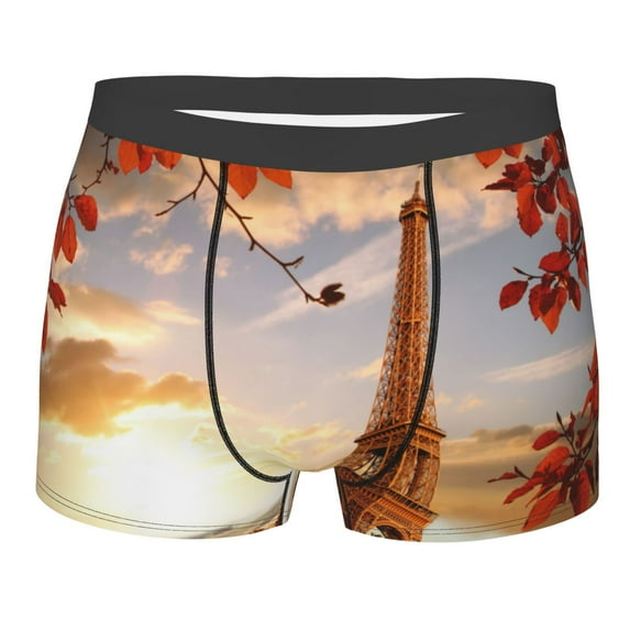 Disketp Eiffel Tower With Red Leaves In Paris Men'S Boxer Briefs,Soft And Breathable Cotton Underwear With Comfortflex Waistband