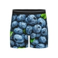 thumbnail image 1 of Disketp Fresh Blueberries Men's Boxer Briefs Men’s Underwear Boxer Briefs for Men, 1 of 7
