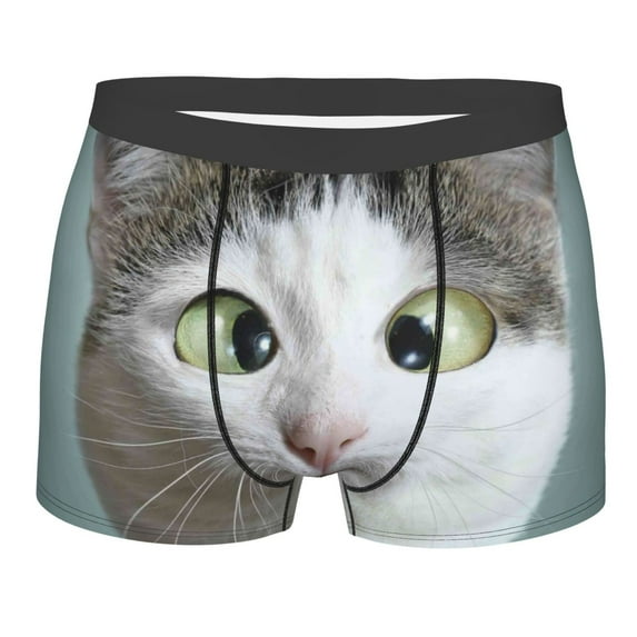 Disketp Funny Cat Men'S Boxer Briefs,Soft And Breathable Cotton Underwear With Comfortflex Waistband