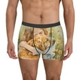 thumbnail image 1 of Disketp Girl Hugging Dog Flowers Men's Boxer Briefs,Soft and Breathable Cotton Underwear with ComfortFlex Waistband-Small, 1 of 5