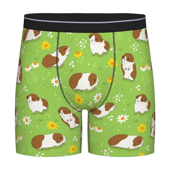 Disketp Guinea Pigs Men's Boxer Briefs Men’s Underwear Boxer Briefs for Men