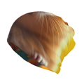 thumbnail image 1 of Disketp Hawaiian Style Guinea Pig Slouchy Beanie Hip-Hop Soft Lightweight Running Beanie Adult Hats Chemo Cap for Men Women, 1 of 8