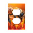 thumbnail image 1 of Disketp Honeybee On Vibrant Flower Decorative Light Switch or Outlet Wall Plate with Safety Cover-Style S, 1 of 6