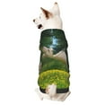 Disketp Horse Rearing Up In The Field Dog Hoodie Dog Clothes with Hat