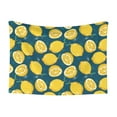 thumbnail image 1 of Disketp Lemon Dog Blanket/Bed Cover for Dogs and Cats,Puppy Essentials-Large, 1 of 8