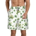 thumbnail image 1 of Disketp Men'S Swim Trunks Hawaiian Breathable Surf Beach Swimsuits Mesh Lining Beach Shorts With Pockets-St Patrick'S Day3, 1 of 9
