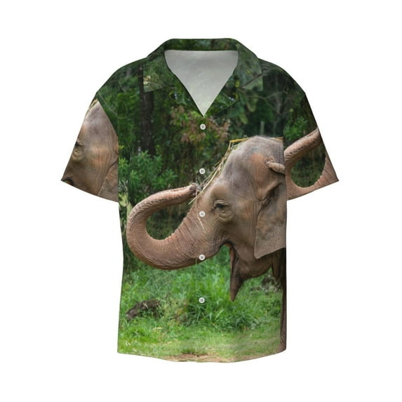 Disketp Men's Hawaiian Asia Elephant Print Shirts Button Down Holiday Beach Shirts-3X-Large