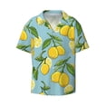 thumbnail image 1 of Disketp Men's Hawaiian Lemon Print Shirts Button Down Holiday Beach Shirts-XX-Large, 1 of 7