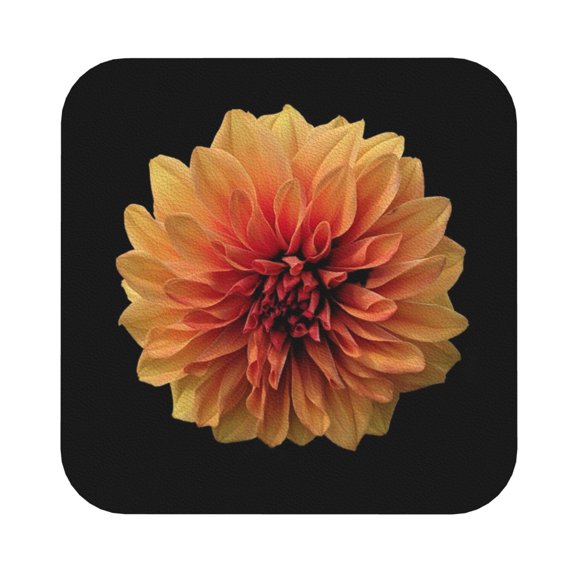 Disketp Orange Dalia Funny Coasters,4 Pcs Leather Coasters With Holder, Perfect Housewarming Hostess Gifts,Protect Furniture From Water Marks Scratch