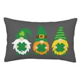 thumbnail image 1 of Disketp Pillow Covers Spring St Patrick’s Day Pattern Throw Pillow Case Cushion Covers,Cushion For Bedroom,Couch,Home-14"X20", 1 of 9