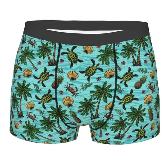 Disketp Pineapple Sea Turtle Men's Boxer Briefs,Soft and Breathable Cotton Underwear with ComfortFlex Waistband
