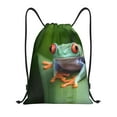 thumbnail image 1 of Disketp Red-Eyed Tree Frog Drawstring Backpack Drawstring Gym Bags Draw String Bags for Sports, Gym, Travel, Swimming, Beach-Medium, 1 of 6