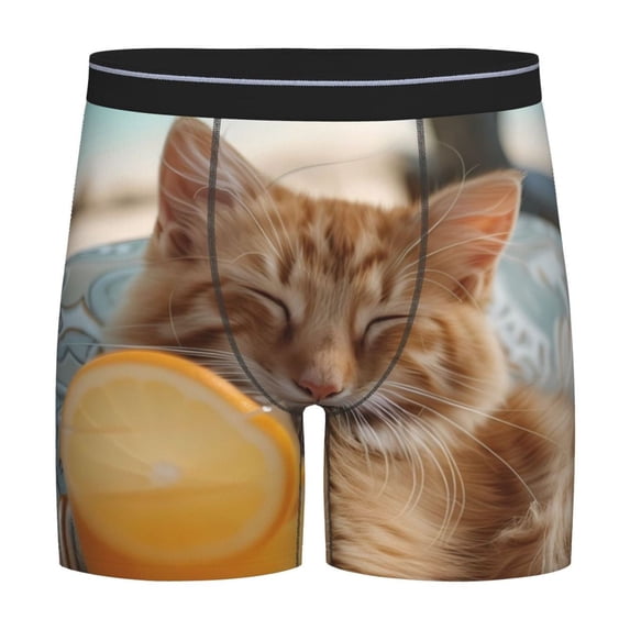 Disketp Relaxing Cat With Orange Juice Men's Boxer Briefs Men’s Underwear Boxer Briefs for Men