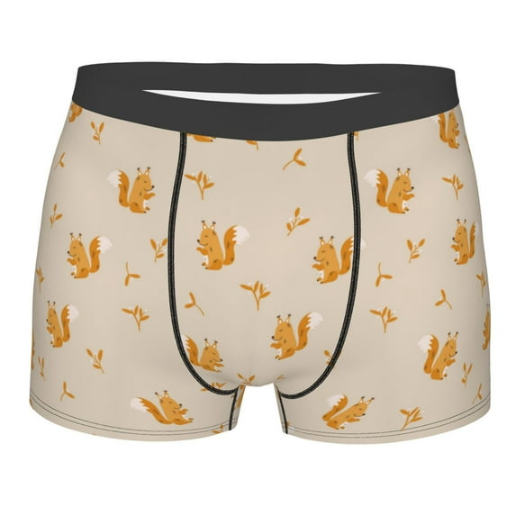 Disketp Squirrel Animal Men's Boxer Briefs,Soft and Breathable Cotton Underwear with ComfortFlex Waistband