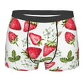 thumbnail image 1 of Disketp Strawberry1 Men'S Boxer Briefs,Soft And Breathable Cotton Underwear With Comfortflex Waistband, 1 of 8