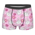 thumbnail image 1 of Disketp Sunflower Rabbit Men's Boxer Briefs,Soft and Breathable Cotton Underwear with ComfortFlex Waistband, 1 of 7
