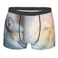 thumbnail image 1 of Disketp The Cat Looks In The Mirror Men'S Boxer Briefs,Soft And Breathable Cotton Underwear With Comfortflex Waistband, 1 of 9
