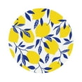 thumbnail image 1 of Disketp Tropical Lemon Funny Coasters,6 Pcs Leather Coasters With Holder, Perfect Housewarming Hostess Gifts,Protect Furniture From Water Marks Scratch And Damage, 1 of 9