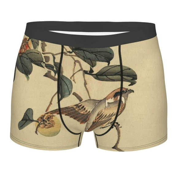 Disketp Vintage Bird Men'S Boxer Briefs,Soft And Breathable Cotton Underwear With Comfortflex Waistband