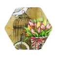 thumbnail image 1 of Disketp Watercolor Canary Bird Funny Coasters,6 Pcs Leather Coasters With Holder, Perfect Housewarming Hostess Gifts,Protect Furniture From Water Marks Scratch And Damage, 1 of 1