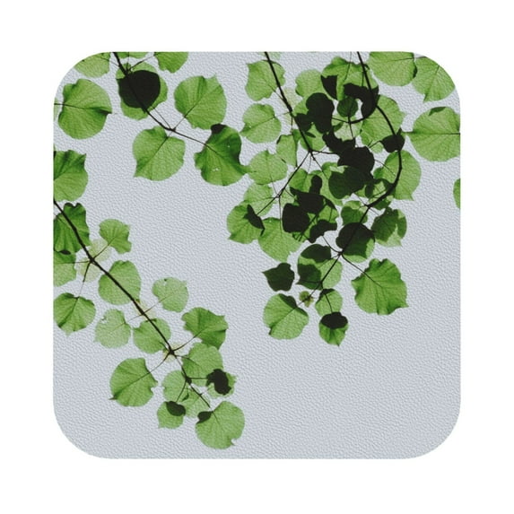 Disketp Watercolor Green Leaves Funny Coasters,6 Pcs Leather Coasters With Holder, Perfect Housewarming Hostess Gifts,Protect Furniture From Water Marks Scratch And Damage