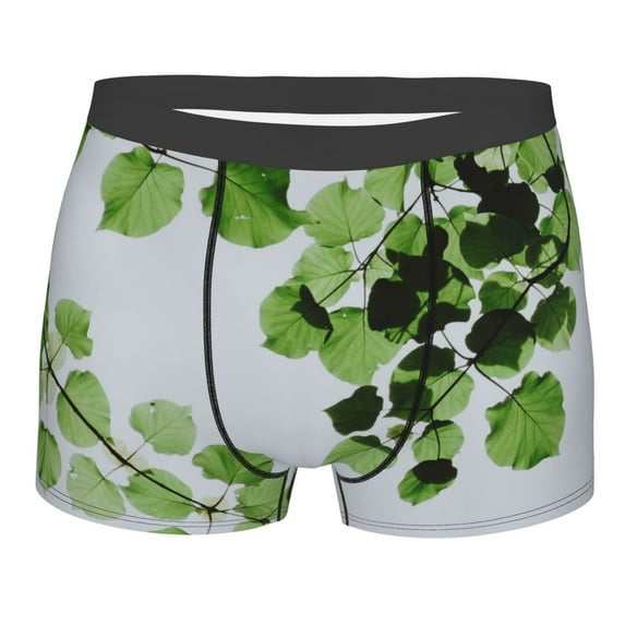 Disketp Watercolor Green Leaves Men'S Boxer Briefs,Soft And Breathable Cotton Underwear With Comfortflex Waistband