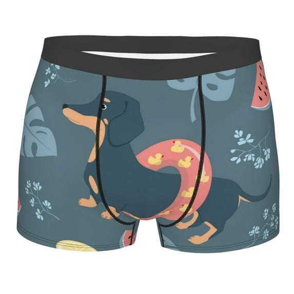 Disketp Watermelons Dachshunds Men'S Boxer Briefs,Soft And Breathable Cotton Underwear With Comfortflex Waistband