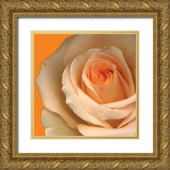 Diskin, Ceil 15x15 Gold Ornate Wood Framed with Double Matting Museum Art Print Titled - Peach Rose