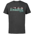 thumbnail image 1 of Disney 100 Anniversary Princess A Magical Celebration D100 - Short Sleeve Cotton T-Shirt for Adults - Customized-Charcoal, 1 of 5