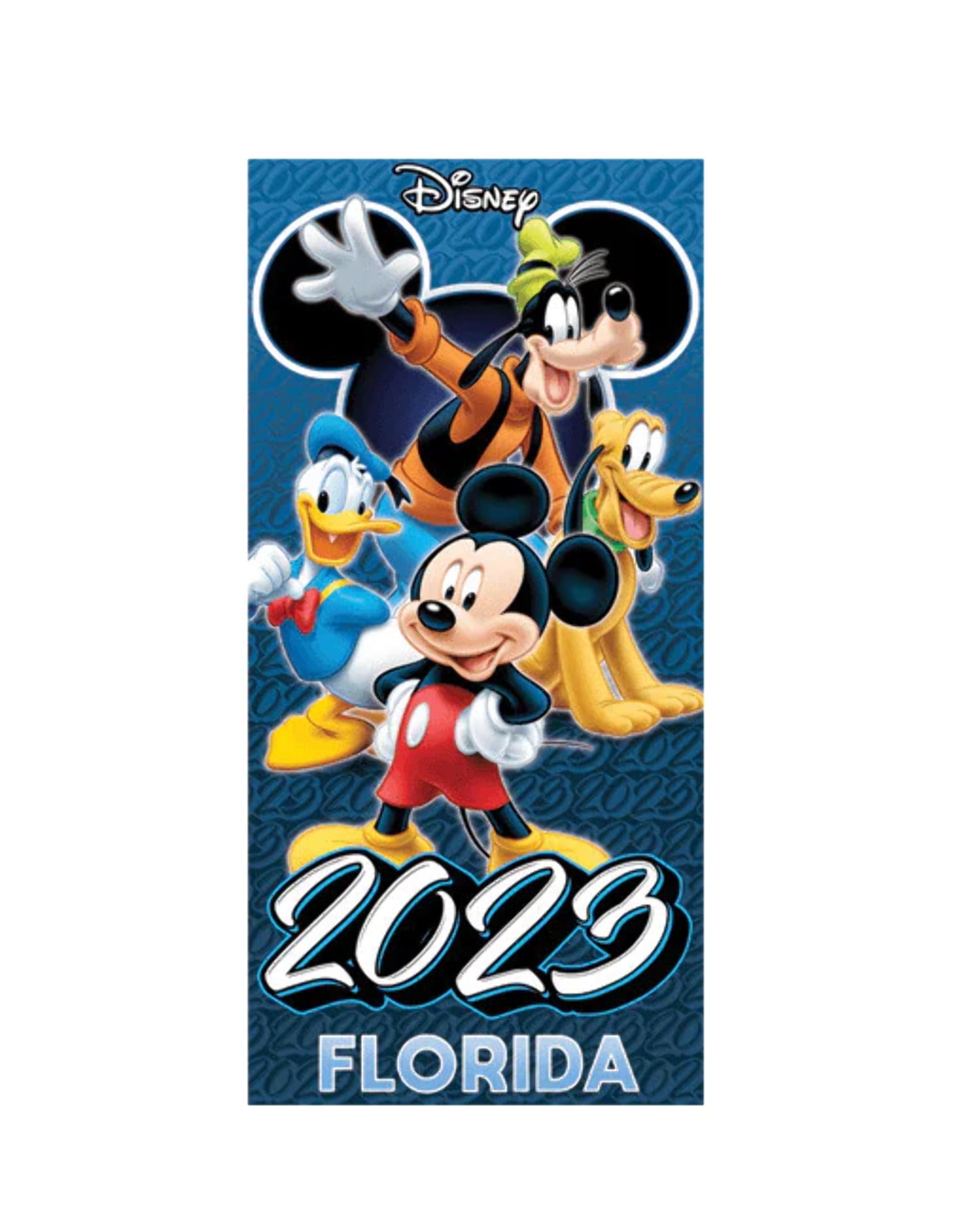 Disney 2023 florida beach towel walmart