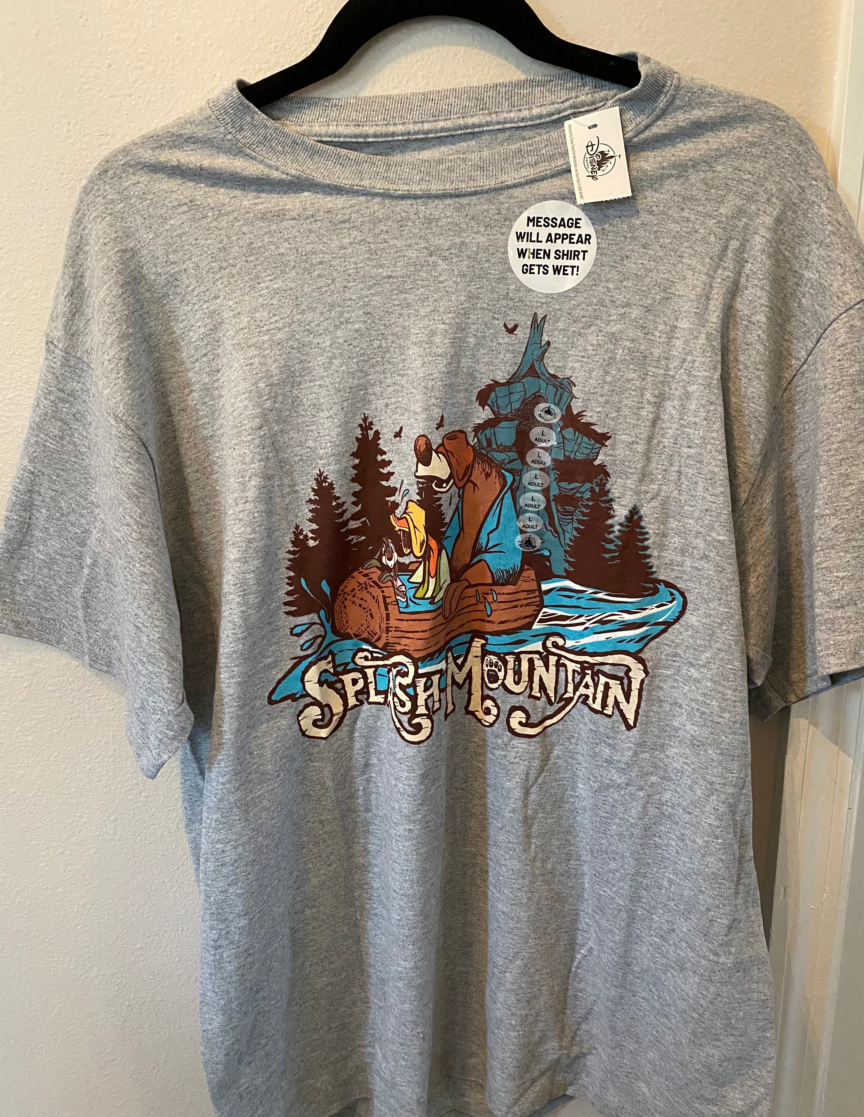 Disney 30th Splash Mountain Brer Rabbit Fox Bear Mystery Message T ...