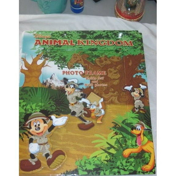 Disney Animal Kingdom Large Frame