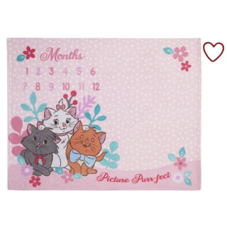 Disney Milestone Blanket