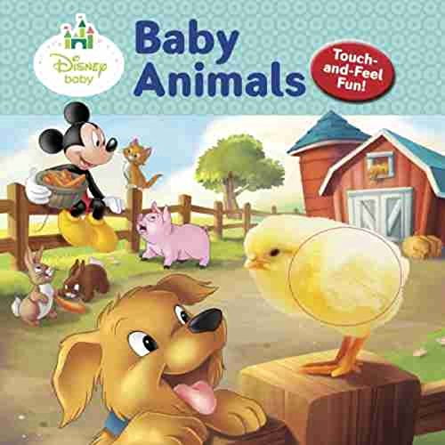PreOwned Disney Baby Baby Animals (Board book) 148471802X