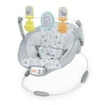 thumbnail interactive-video image 1 of Disney Baby Winnie the Pooh Classic Pals Vibrating Bouncer by Bright Starts, Unisex, Newborn, 1 of 18