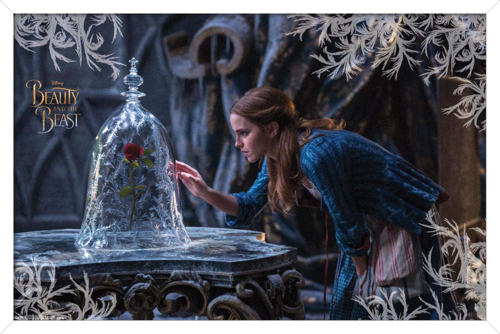 Disney Beauty And The Beast - Rose Wall Poster, 14.725" x 22.375", Framed