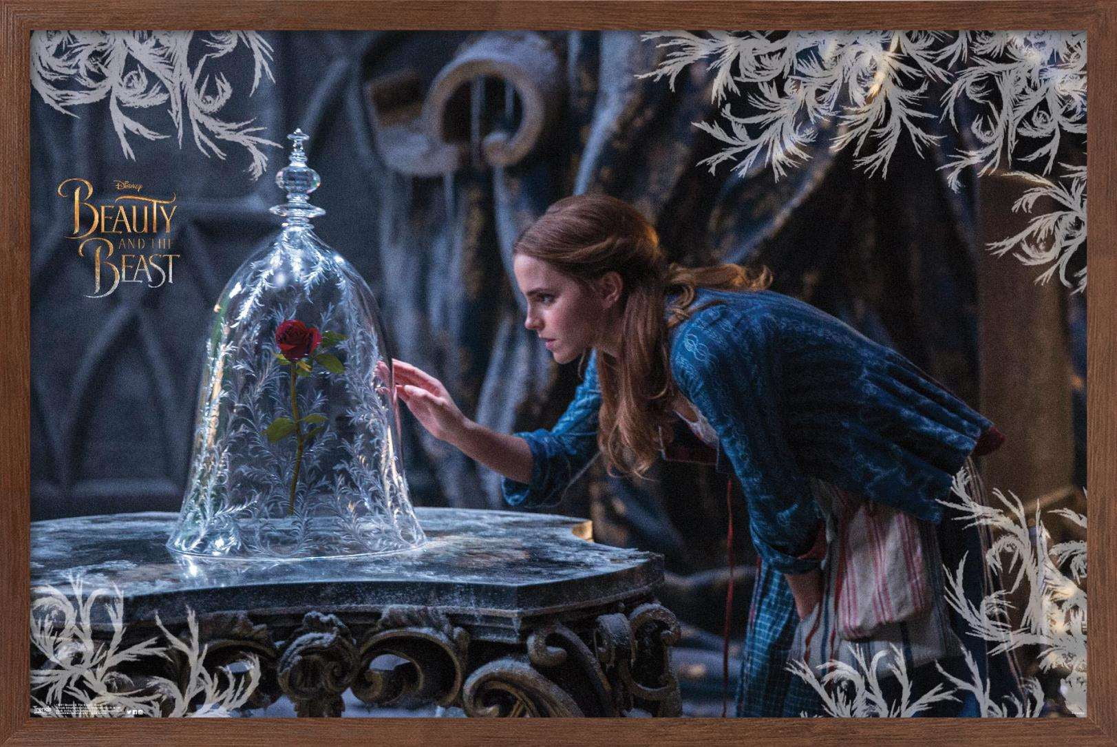 Disney Beauty And The Beast - Rose Wall Poster, 22.375" x 34", Framed