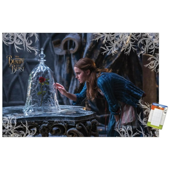 Disney Beauty And The Beast - Rose Wall Poster, 22.375" x 34"