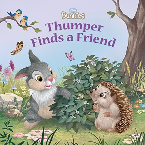 Pre-Owned Disney Bunnies: Thumper Finds a Friend, 9781423123132, 1423123131, Paperback, Illustrated edition