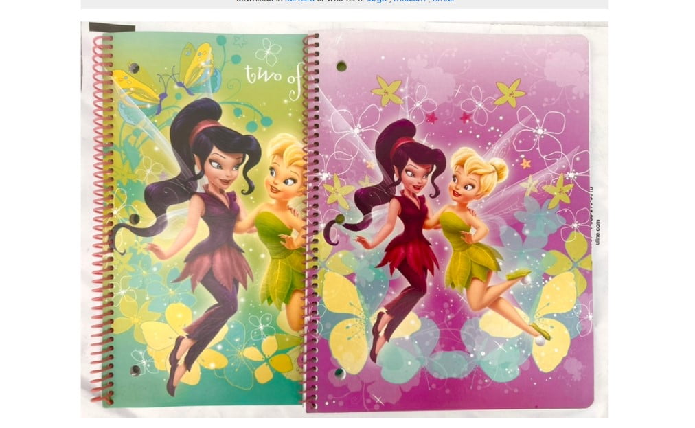 Disney Fairies Friends Set of 2 pack Spiral Notebooks (assorted design ...